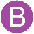 B icon