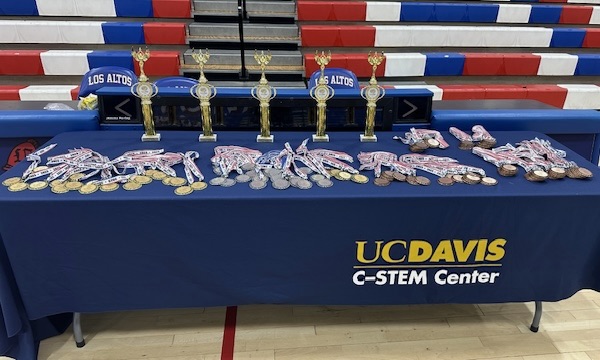 Roboplay awards and medals on a table