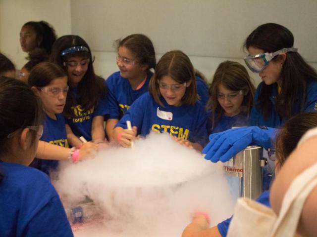 STEM For Girls Picture
