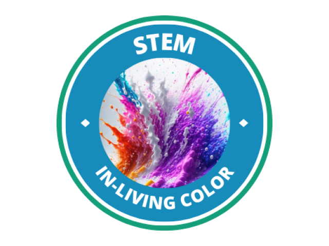 STEM Logo