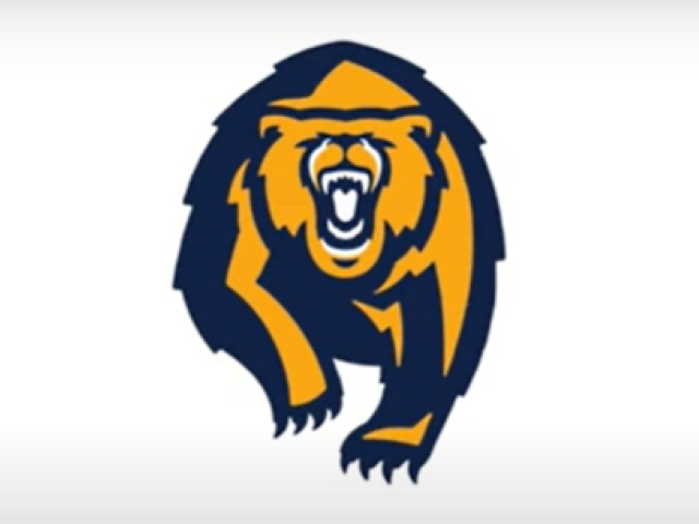 ROAR Academy Logo
